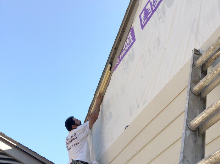 home painter houston